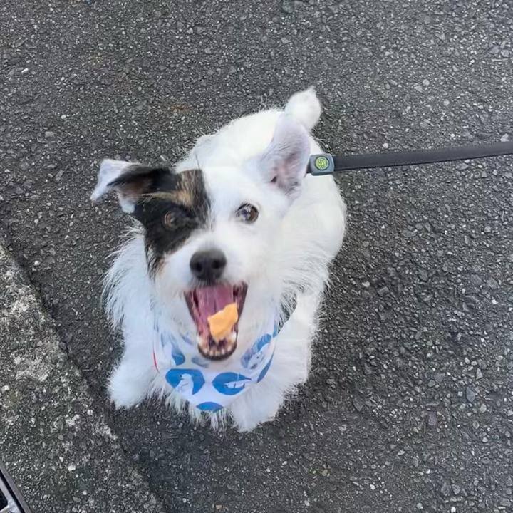 35802766 258a 4365 b088 e4180323edd2 1658963542606