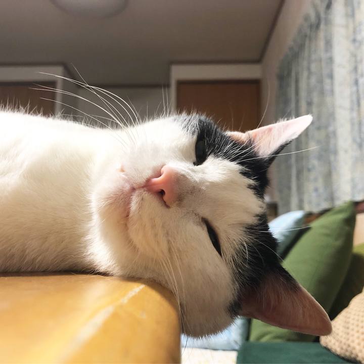 35803892 3ced 45da b390 c99b196834d4 1559830071018