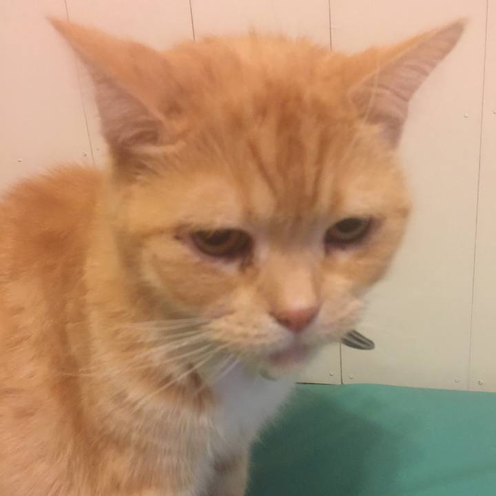 35804b42 844c 43d9 9f50 28175f55db15 1549811839934