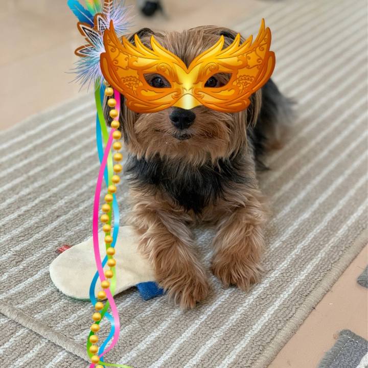 35804d35 a0e4 4fff 9548 d1789da0ddc2 1597792150960