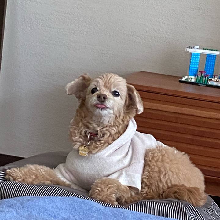 35805fa4 6fb9 46a2 bafb 90682b83bf37 1682393520270