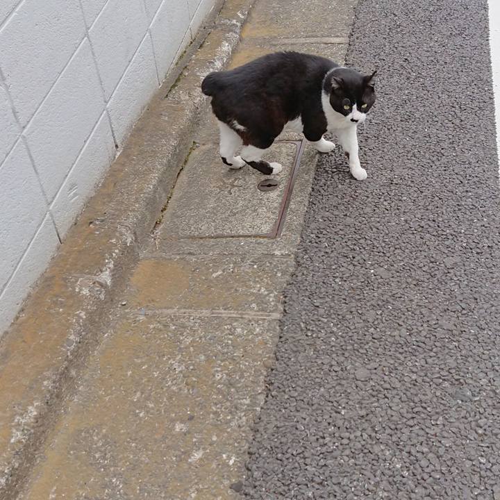 3580b911 b691 4e83 a717 1e511d4be0c0 1591951175224