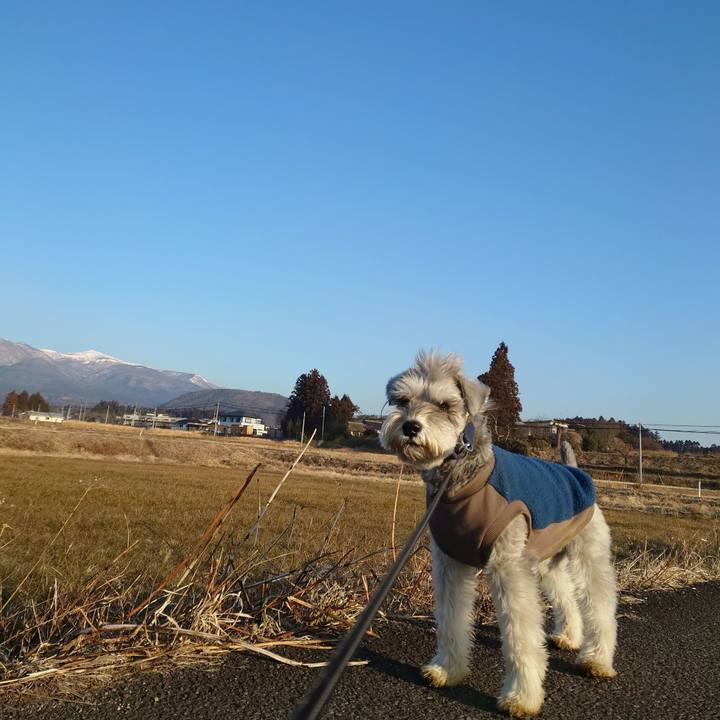 3580d445 7dd0 446d ae5b 954ed7adff80 1771111546315