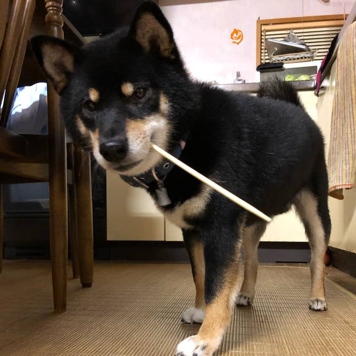 3580e3b9 60cc 41ca 938a 394fcee251c4 1605069484210