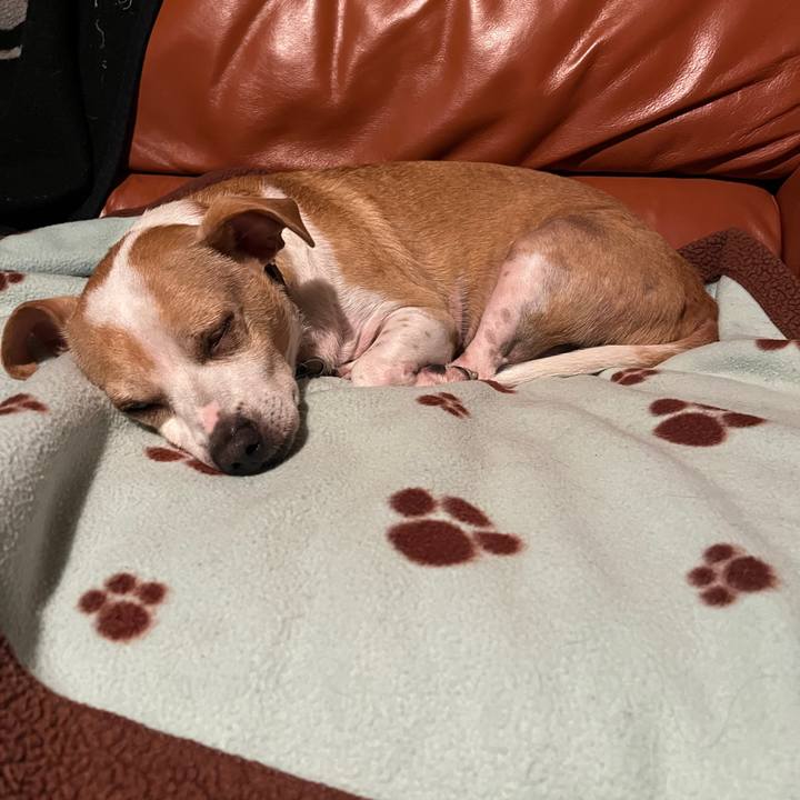 358123e2 9e78 47a8 a3b4 dde201803f5e 1758869085860