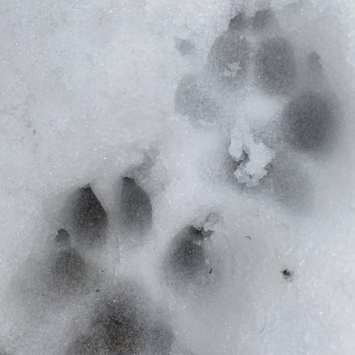 35814b17 ee1f 41de 8070 ee06ebaf0e10 1707232681819