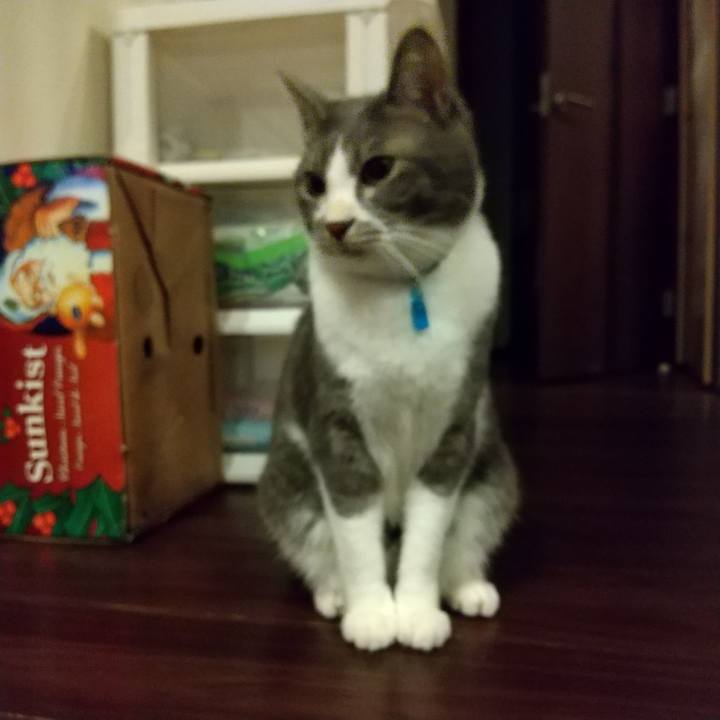 35814fe4 4143 4049 94c8 400c6f08afac 1612180090400