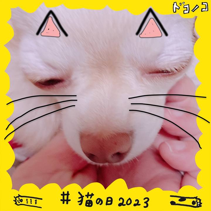 35816016 6f2e 4bf4 b76b 1329ebd12d53 1677007440016