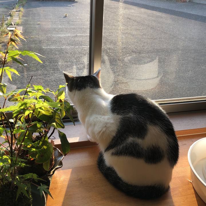 35818655 365b 4162 af0d 8d98863ce18f 1622322742699