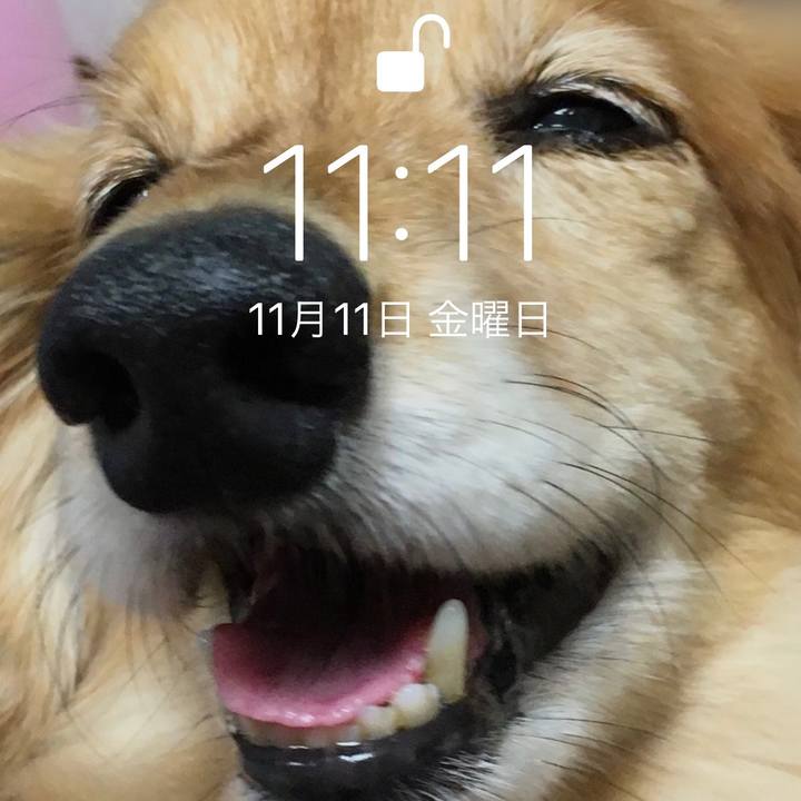 3581a2c2 633d 47eb 8780 81711275fc31 1668168301702