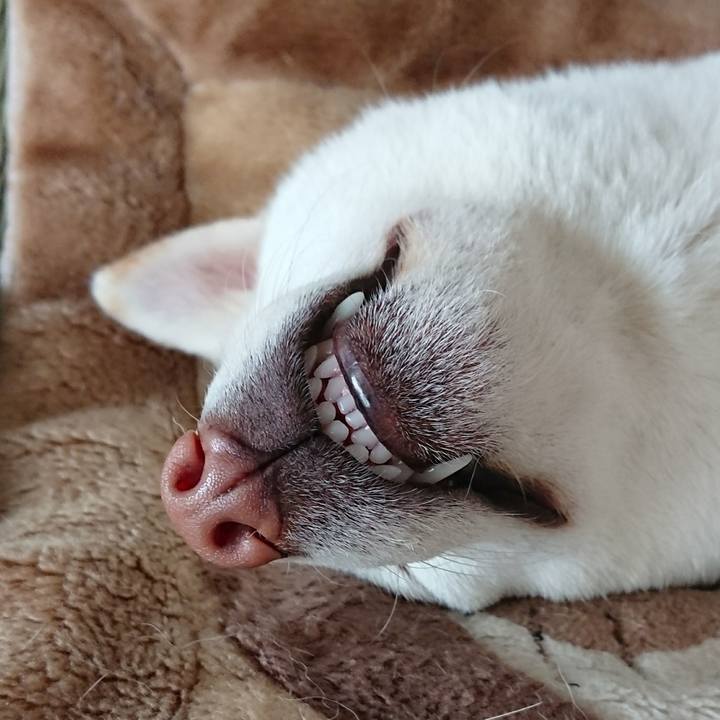 3581b471 d843 468c b711 66b0420617e4 1507780976548