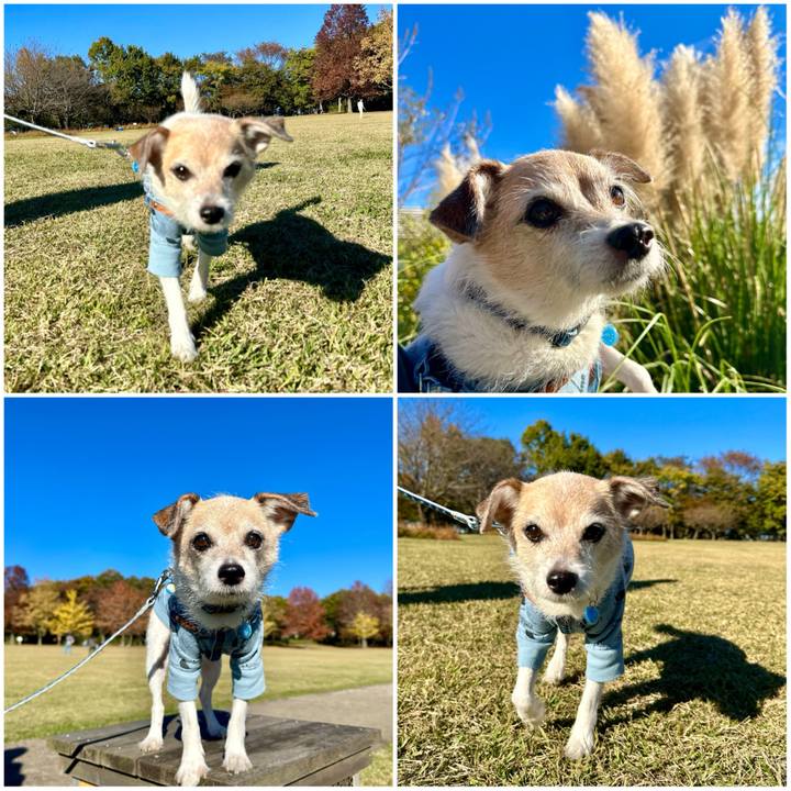 3581bdc0 8e20 4267 8161 11542c59ebe5 1700385954223