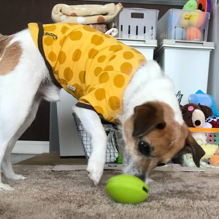 3581d7aa 9195 436d afd1 5b1924ef68fa 1524359856932