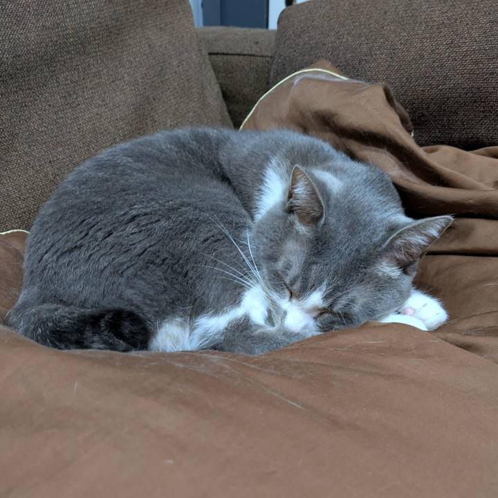 3581dd14 02d4 4fba 850d 67e34e73af70 1735476812004