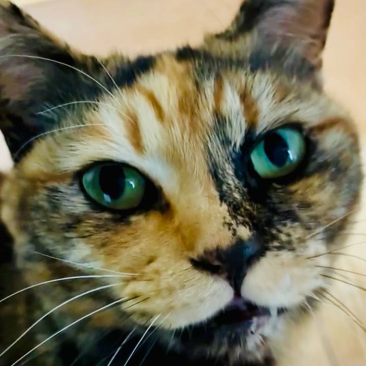 3581f182 67b9 45b3 8507 8f0fccc6fac9 1769870994350