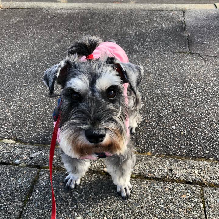 3581f5c4 7163 49e0 bb34 4362c570059a 1607225495560