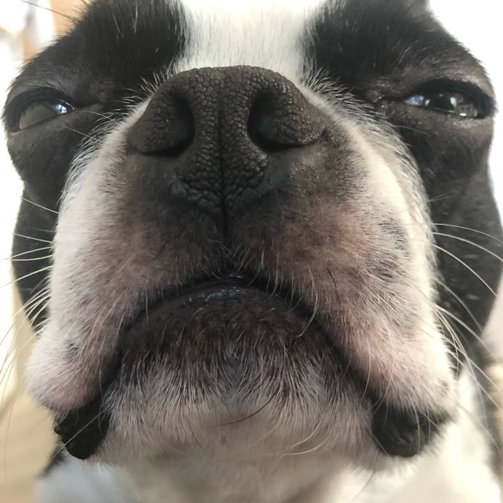 35823b33 030b 4b66 ae68 30434114aa1d 1583451080192