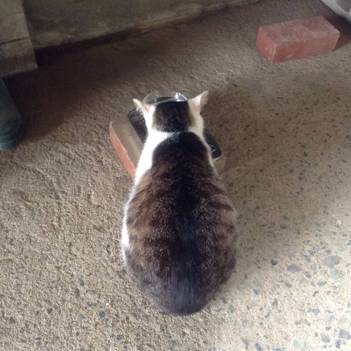 35824fc1 5686 4ff8 b788 3eebf9e03c3f 1528898423711