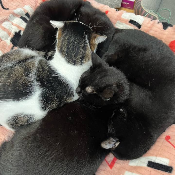 35826a65 819d 4050 b83a c9323d52c692 1731073254504