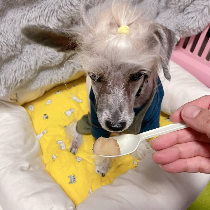 3582dd16 36cd 4036 af68 c4833d30529a 1760930375622