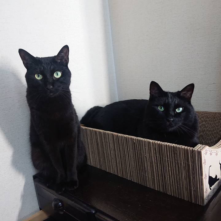 3582e451 aeec 4c01 a01b 93ca51623366 1692933614669