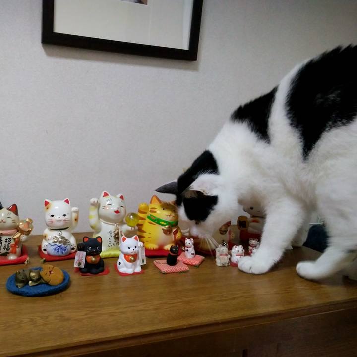 358315e4 2dcc 41bc aefc 84e51f4ee13e 1550801788649