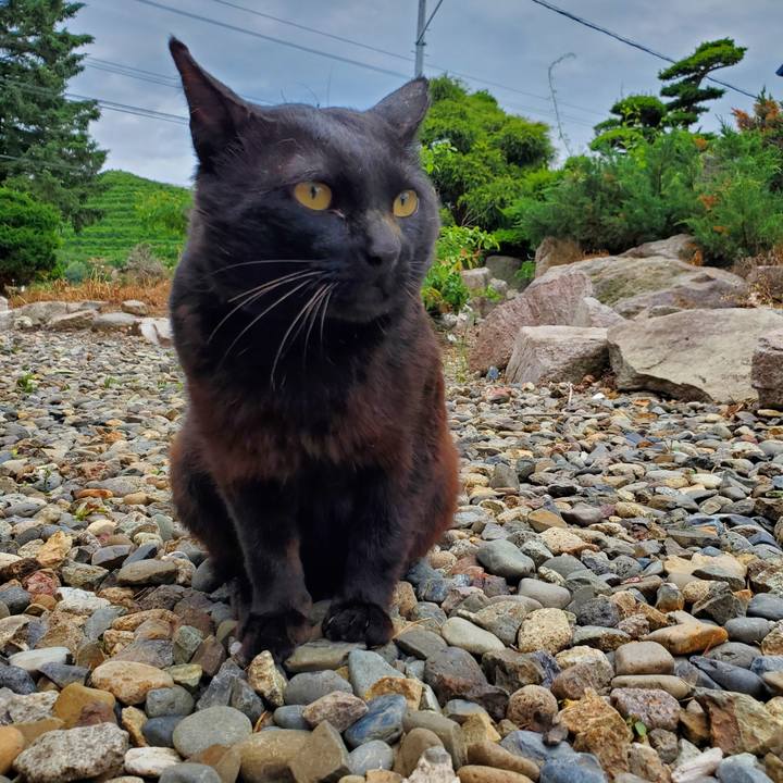 3583170c b657 4e51 b28e ba659ce5326d 1719933294289