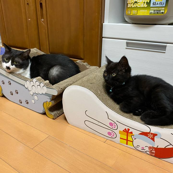 3583509f d168 47d1 aebe dc40ed62f5a7 1635866240890