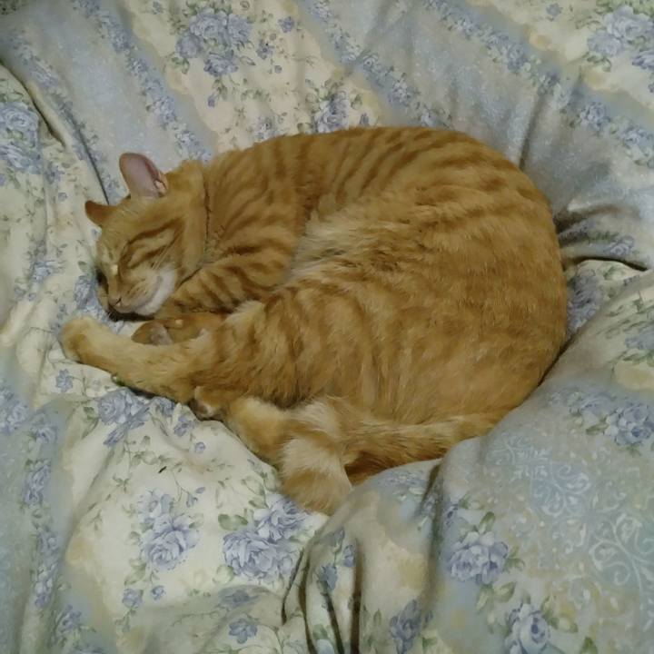 35838be3 a339 4fa2 9948 b298d6087265 1664800897401