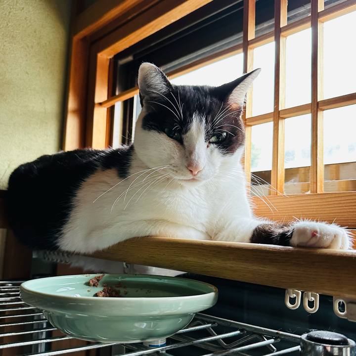 3583992d e164 444a 9a99 d6cd78aa322e 1667443374134