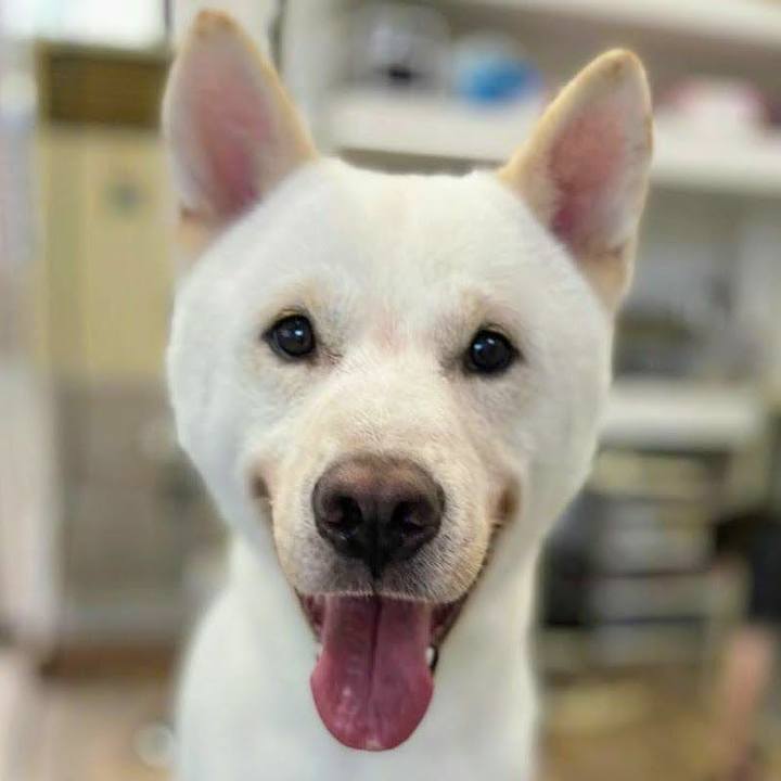 35840457 cfeb 4ccc a1df a91a105dbf40 1596370962045