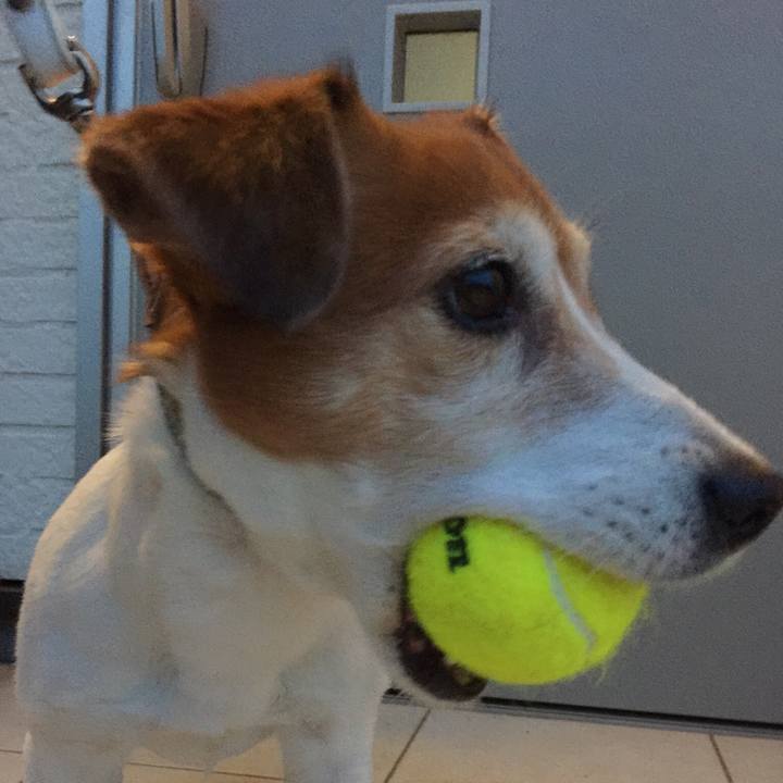 35843850 67dc 479e a155 f4b184f57fed 1526557217863