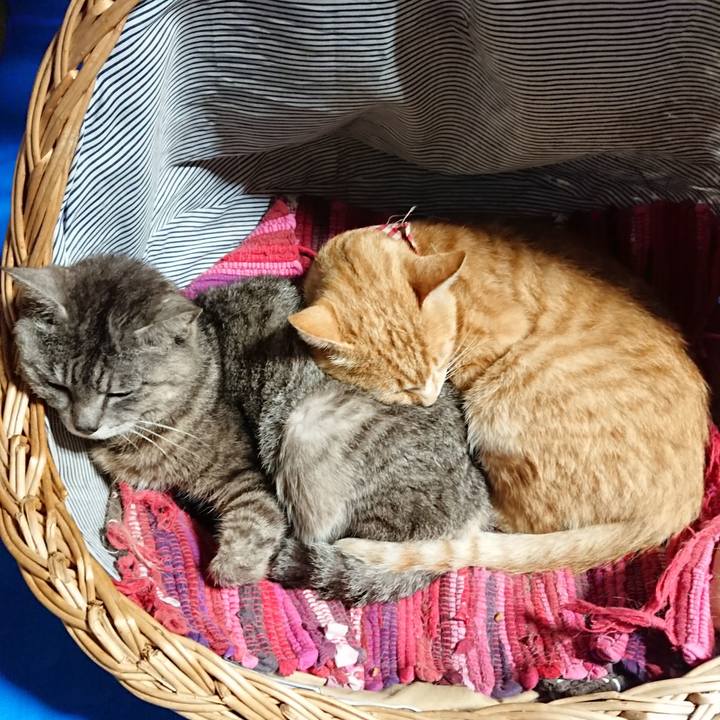 35846656 50c4 4ce6 9916 53d05399d730 1561801795527