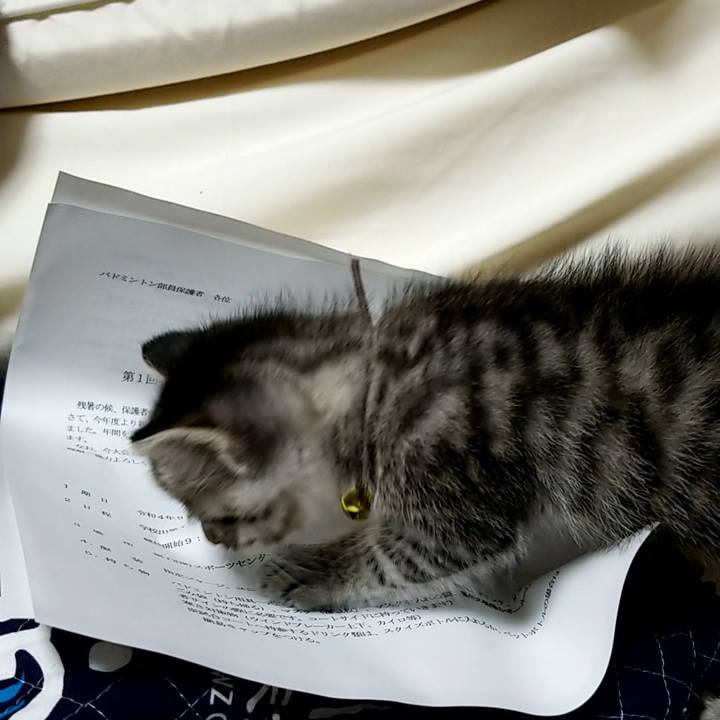 3584c72b c918 45f1 9a03 967039b9a9d8 1661182680718