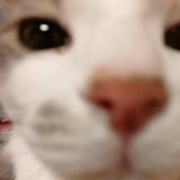 3584d51e aa9d 4aac b314 1a0f7c563d99 1520473823733