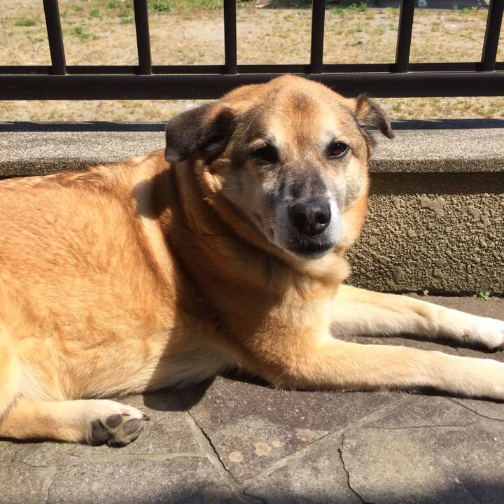 3584db5b 2e76 49f1 95bc 78cdd3cadbe9 1557708579566