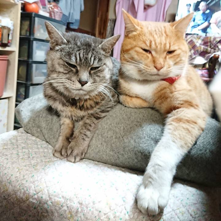 358501f2 a880 4977 8c80 a4a887fbff30 1607338800770