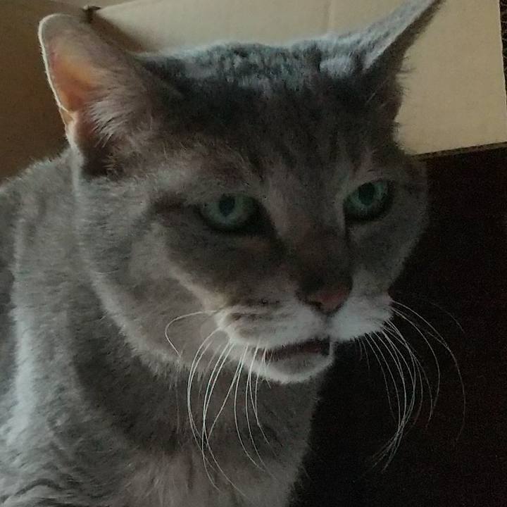 35851cb1 20b9 490d b8a9 df78bd7eca54 1683783727682