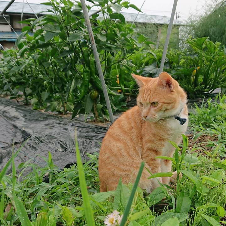 3585452b da30 4e31 9b70 a851a455c650 1563829167760