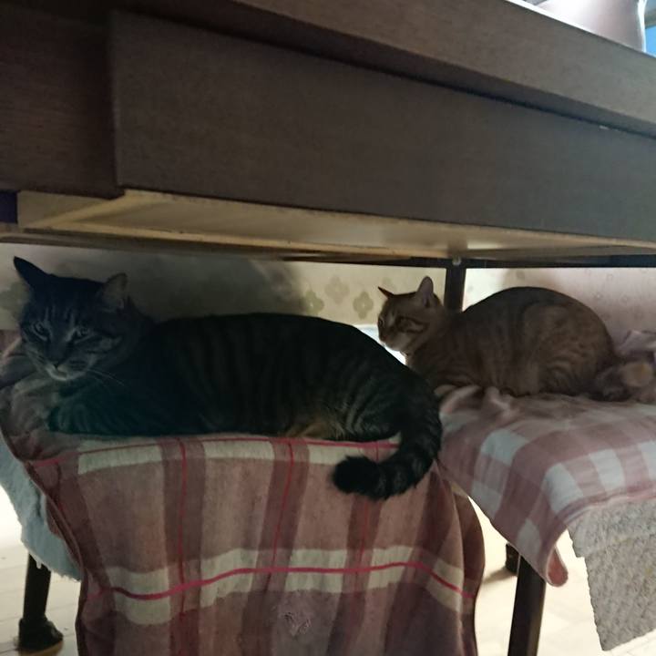 35855eaa 03bf 4bd7 ac9a 8064eca5b4ea 1644443349140