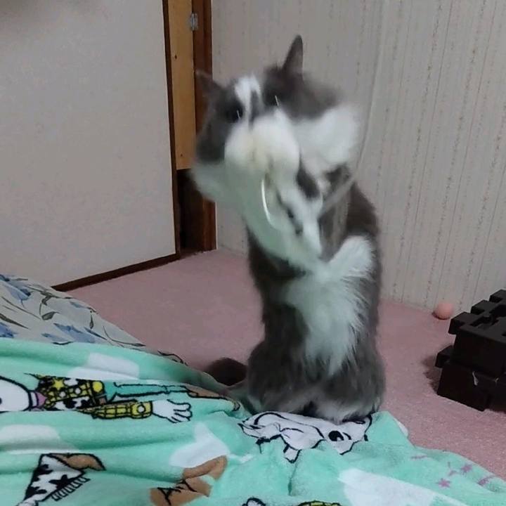 358566ae eb69 4ece b499 c2ee2cf7269e 1676710130182