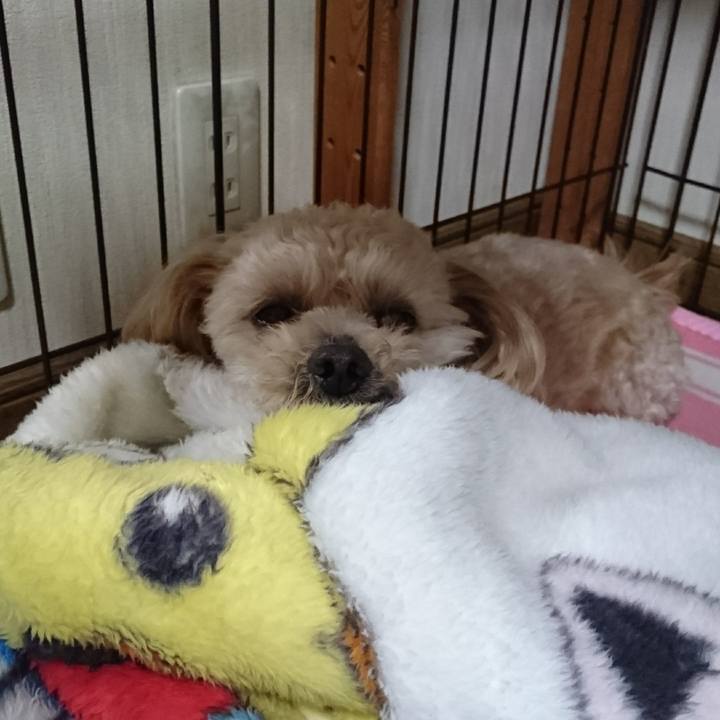 35858155 b6a4 40ad 9af7 bc75494035c4 1553690143956