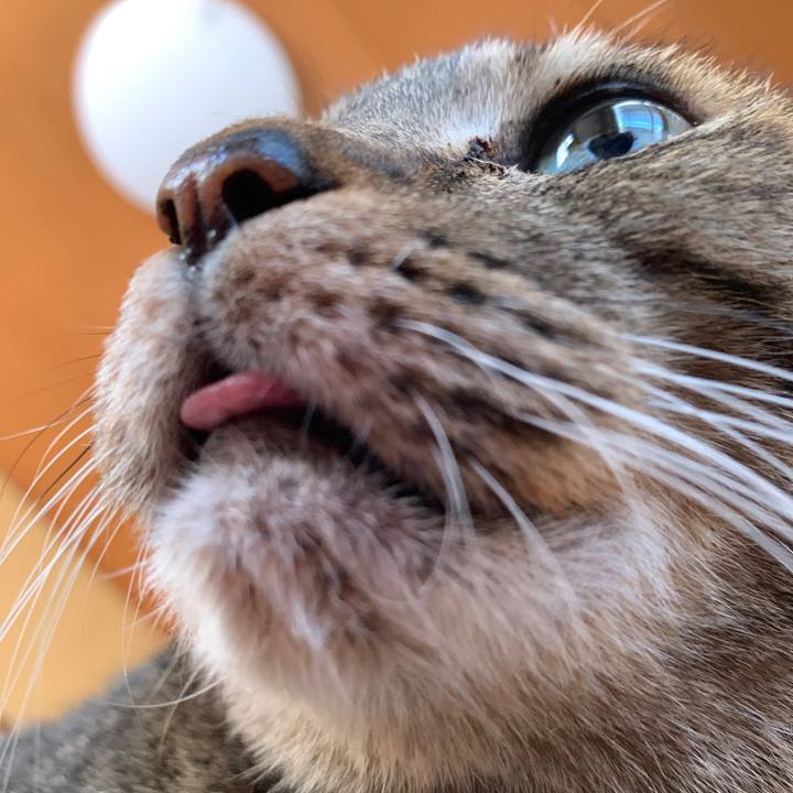 35858da1 886b 44ee b489 4427f2a831ab 1565397333640