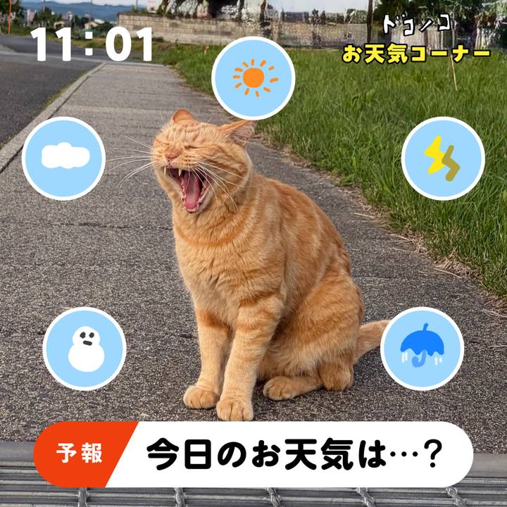 3585a893 78a5 4435 8bd1 319419a13ad9 1781660570649