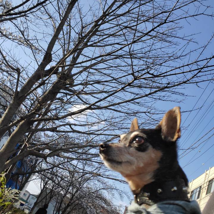 3585e103 be3e 4df7 8f0a 8843b29ec682 1679404352064