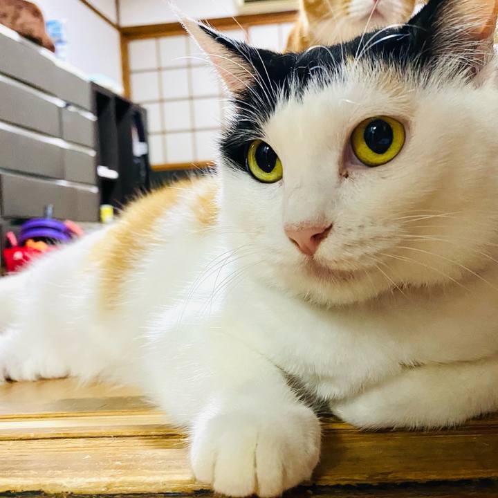 3585e11e 9b2f 412d b349 22e6c06902e1 1694705636361