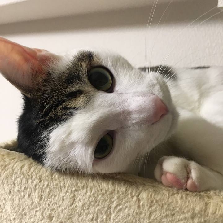 35864efb 2f2f 4b3e 966c 51f2d24d31b2 1519303893213