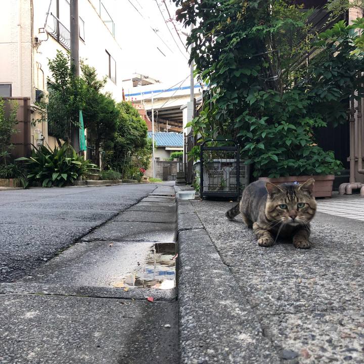 35866254 d78e 4750 bcbf 672dd3995283 1531430378941