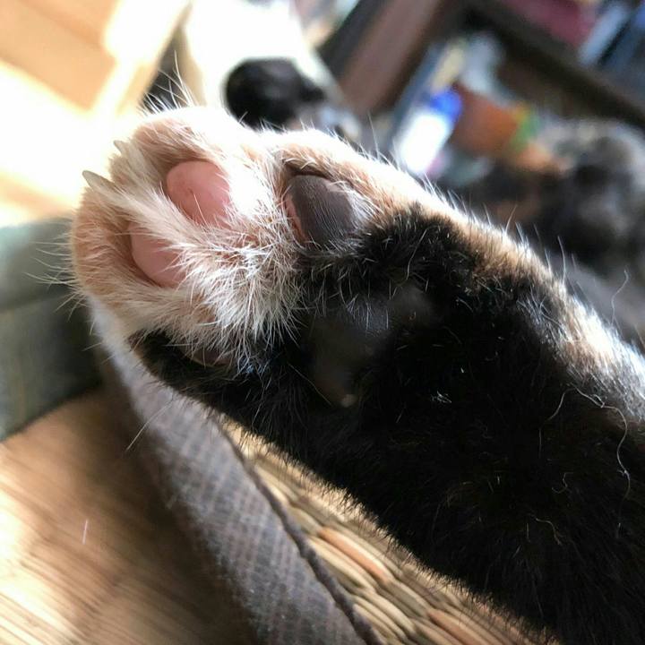 35867f2d 62a8 4a96 adf0 698f723f6fc7 1598773155715