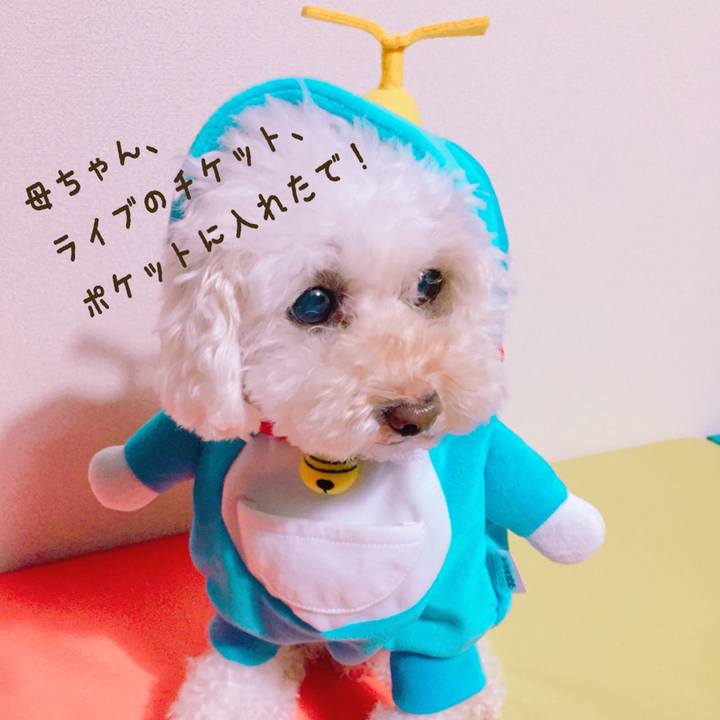 3586d23b 39e3 492d 9461 bd173e882aab 1509355553384